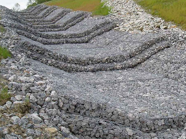 雷諾護墊案例 雷諾護墊案例